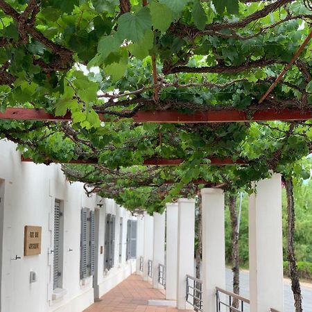 Port Wine Guesthouse Calitzdorp Exteriér fotografie