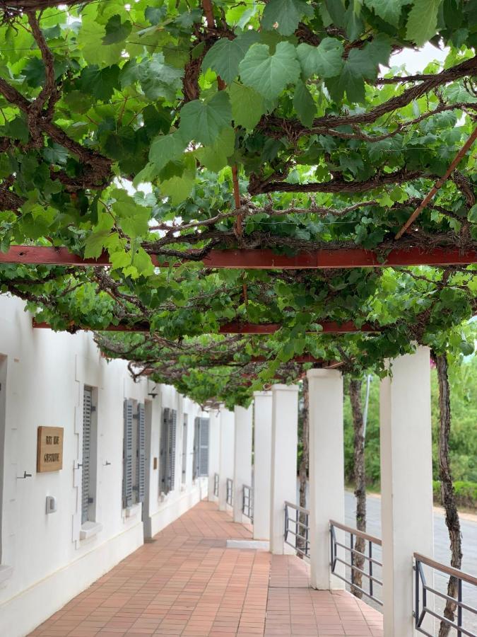 Port Wine Guesthouse Calitzdorp Exteriér fotografie